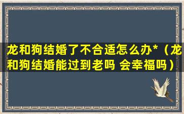 龙和狗结婚了不合适怎么办*（龙和狗结婚能过到老吗 会幸福吗）